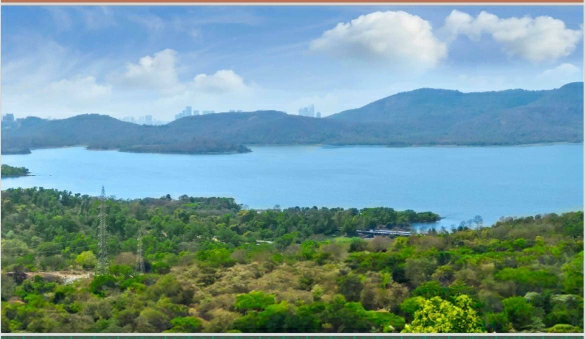 2.5 BHK Apartment For Sale in Lodha Corinthia