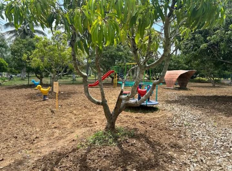 Garden, sampangi rama nagar  1500 Sq.Ft. Plot In Sampangi Rama Nagar Bangalore 8295628
