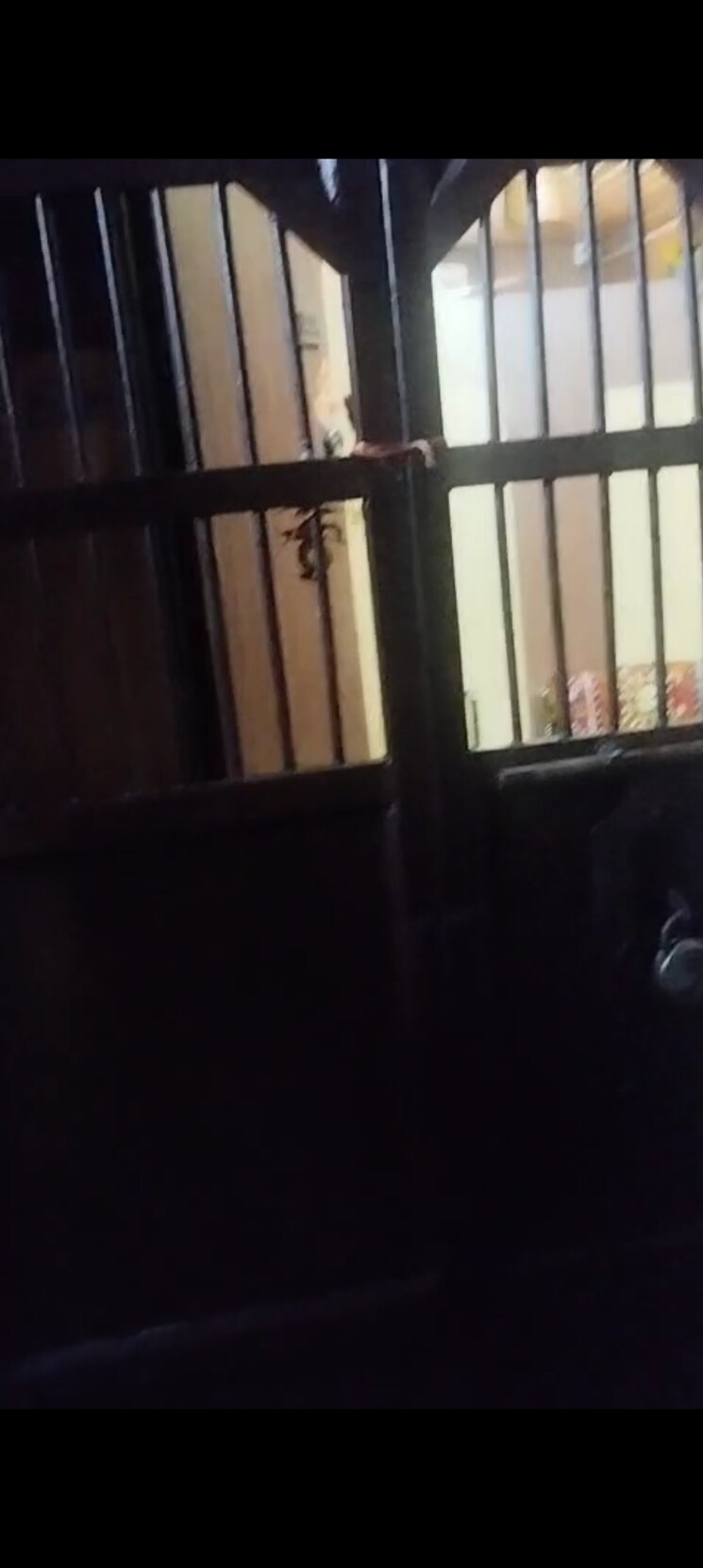 Kitchen, sheetal-nest 1 Bedroom 450 Sq.Ft. Apartment In Kurla West Mumbai 8295675