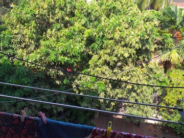 2.5 BHK Apartment – Garden View at Shivneri CHS Kurla, Kurla East - for Rent