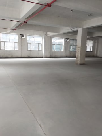 Commercial Warehouse 11000 Sq.Yd. For Rent in Sector 20a Faridabad  8295776