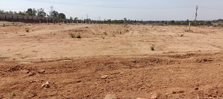 undefined, sr-rock-town  151 Sq.Yd. Plot In Mazidpur Hyderabad 8295919