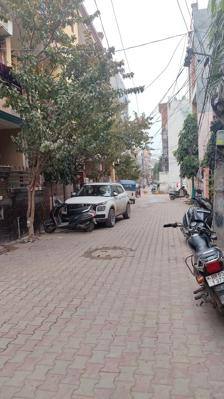  Parking, baltana 5 Bedroom 55 Sq.Yd. Independent House In Baltana Zirakpur 8296139