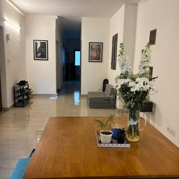 Living Room in 1 BHK Builder Floor at Safdarjang Enclave – for Rent