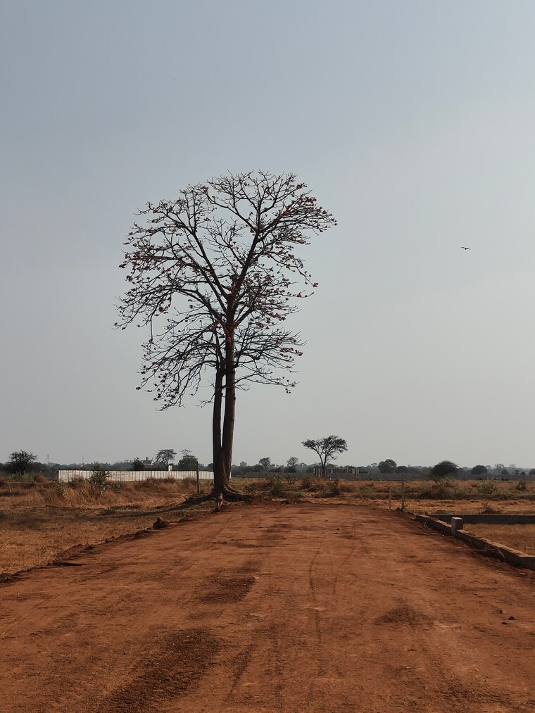 undefined, abhanpur  1200 Sq.Ft. Plot In Abhanpur Raipur 8296480