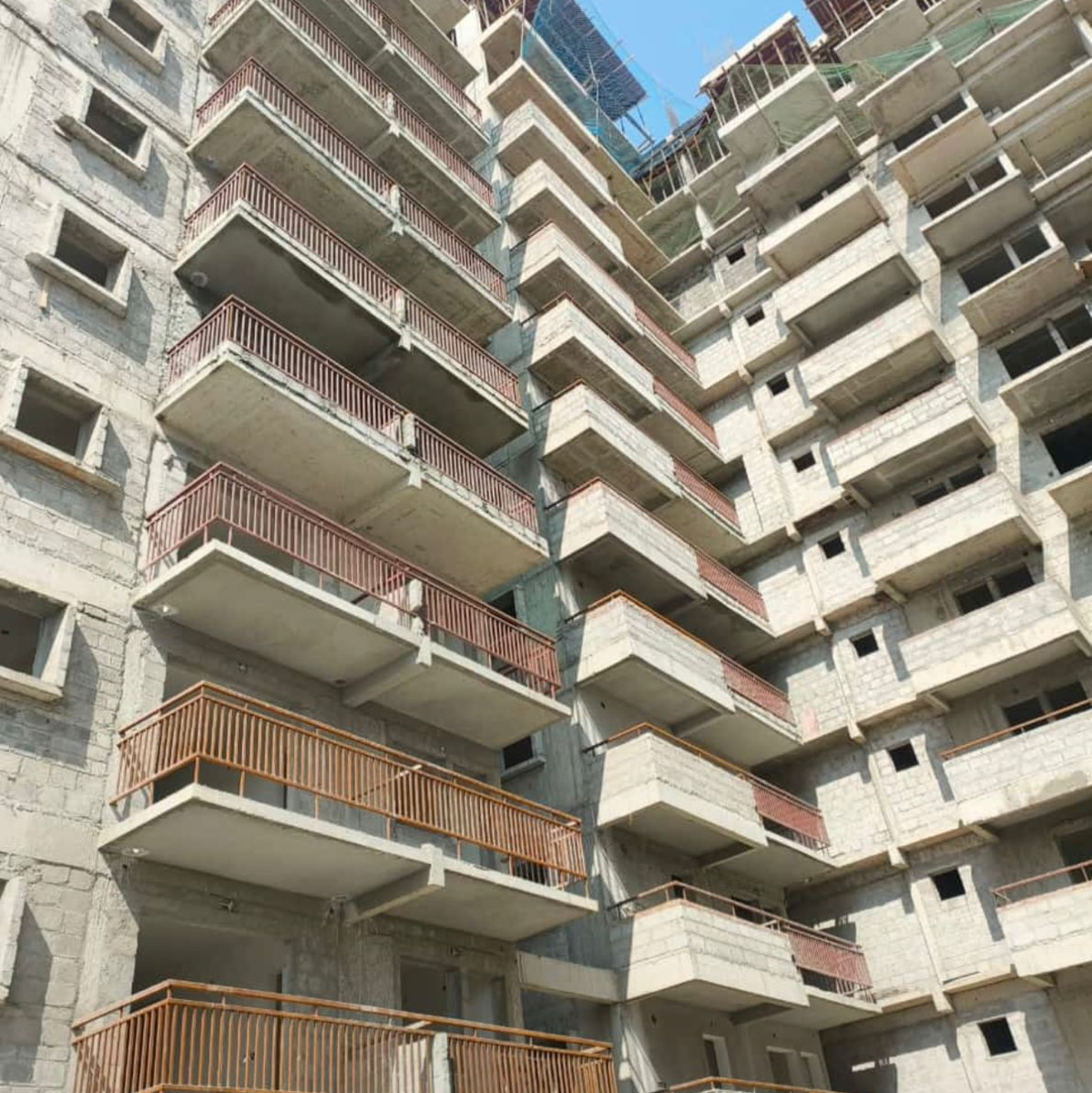 3 BHK Apartment For Sale in Orchids 