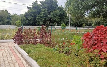 Plot For Sale in Kaggalipura