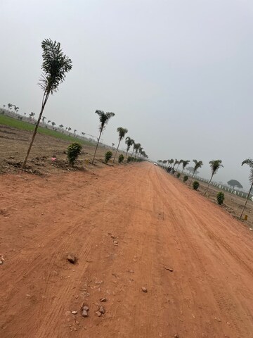 Plot Area in  Plot at Tappal – for Sale