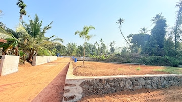 Plot For Resale in Mulanthuruthy Kochi  8297095