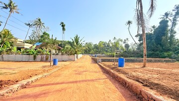 Plot Area in  Plot at Mulanthuruthy – for Sale