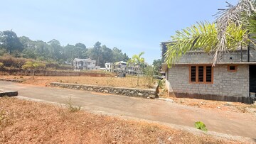 Plot Area in  Plot at Mulanthuruthy – for Sale