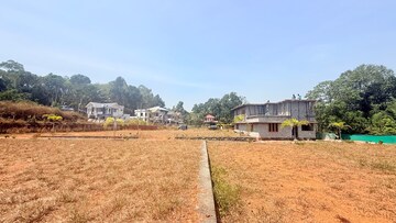 Plot Area in  Plot at Chottanikkara – for Sale