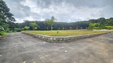 Plot Area in  Plot at Mulanthuruthy – for Sale