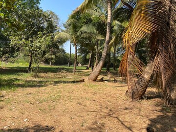  Plot – Garden View at Alibag - for Sale