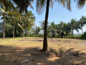 Plot Area in  Plot at Alibag – for Sale