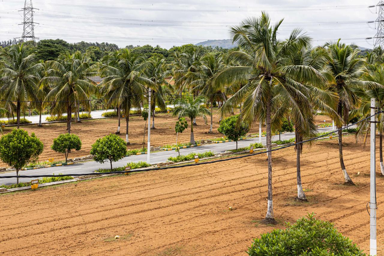 Plot For Sale in Kanakpura Road 