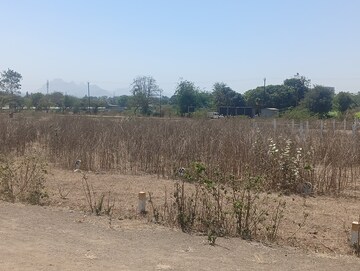 Plot Area in  Plot at Pathardi Gaon – for Sale