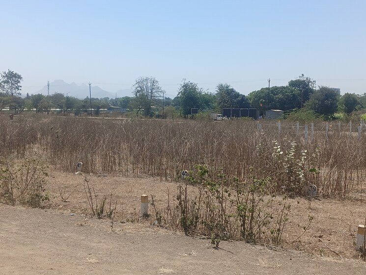 undefined, pathardi gaon  75 Sq.Yd. Plot In Pathardi Gaon Nashik 8297513