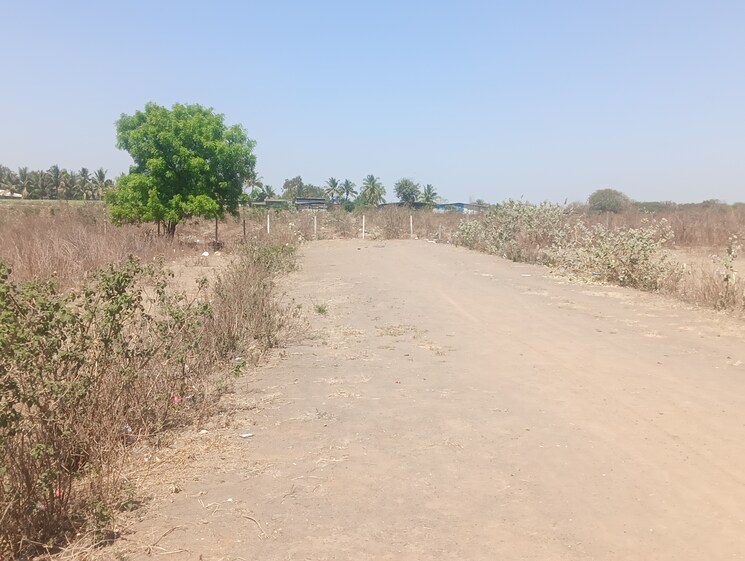 undefined, pathardi gaon  75 Sq.Yd. Plot In Pathardi Gaon Nashik 8297513