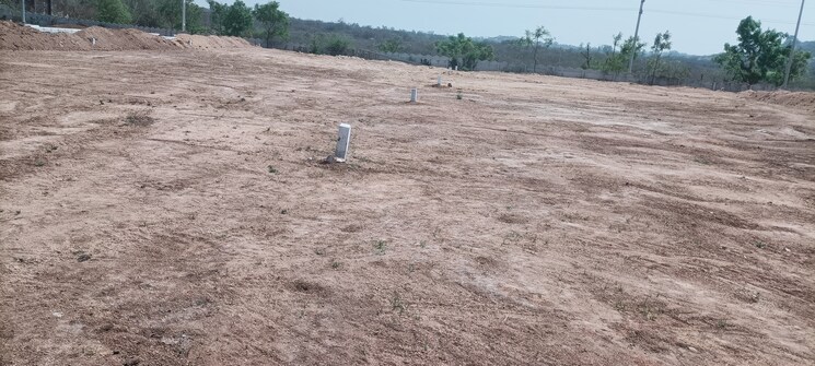 undefined, sr-rock-town  321 Sq.Yd. Plot In Mazidpur Hyderabad 8297698