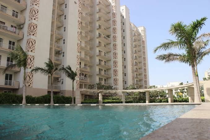 4 BHK + Servant Room Apartment For Sale in Tulip Ivory