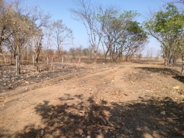 Plot Area in  Plot at Murbad – for Sale