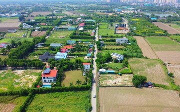 Plot For Sale in Sector 150