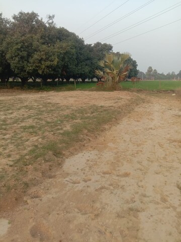 Plot Area in  Plot at Kanpur Road – for Sale