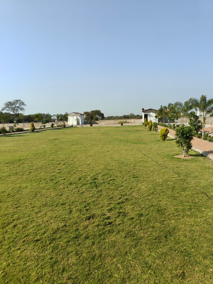 Garden, sejbahar  1500 Sq.Ft. Plot In Sejbahar Raipur 8298280