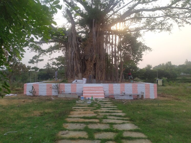 Garden, bsr-akruthi-green-woods  1630 Sq.Yd. Plot In Jigani Bangalore 8298289