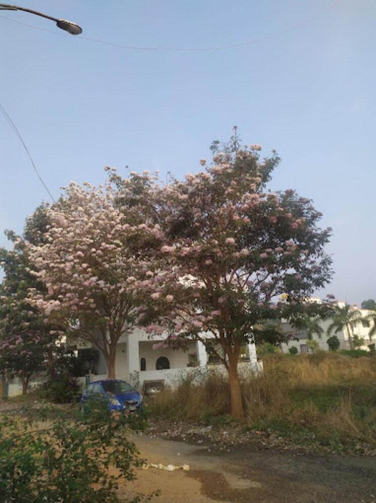 undefined, bsr-akruthi-green-woods  1630 Sq.Yd. Plot In Jigani Bangalore 8298289