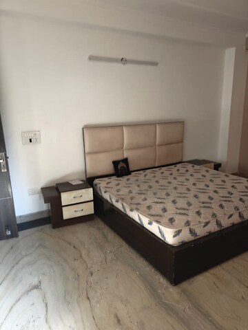 1.5 BHK Builder Floor For Rent in Greater Kailash ii