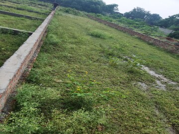 Plot – Garden View at Phi Iii Greater Noida - for Sale