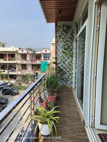 Balcony in 3 BHK Builder Floor at Sector 9 – for Rent