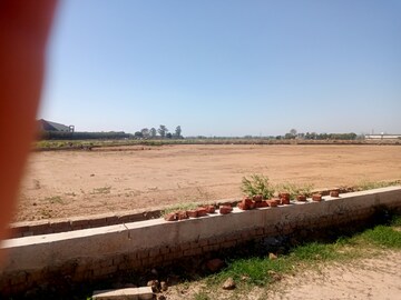Plot Area in  Plot at Patiala Road – for Sale