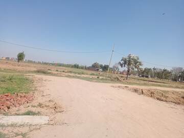 Plot Area in  Plot at Patiala Road – for Sale