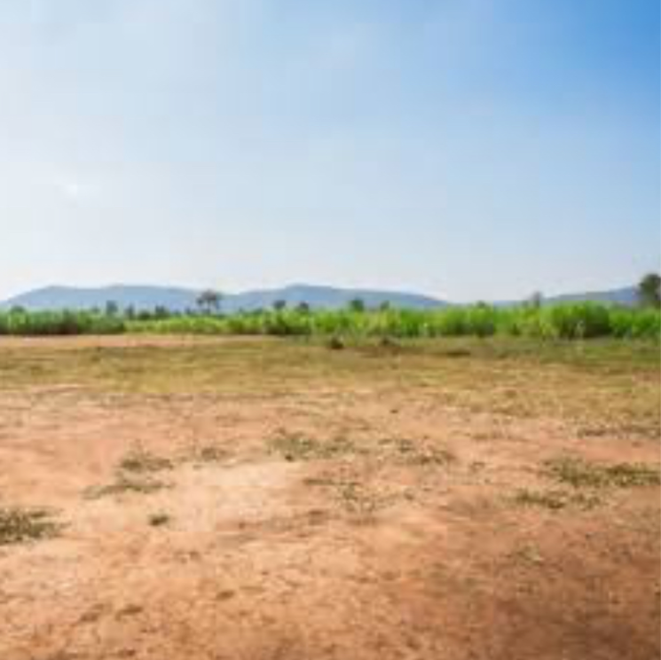 undefined, 4-marla  500 Sq.Yd. Plot In Char Marla Gurgaon 8299200