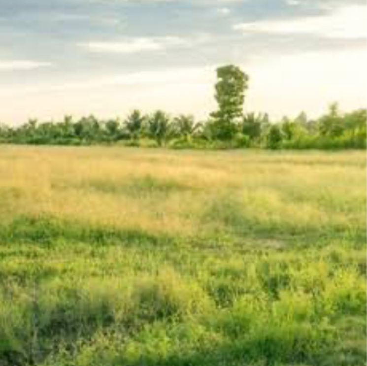 undefined, 4-marla  500 Sq.Yd. Plot In Char Marla Gurgaon 8299200