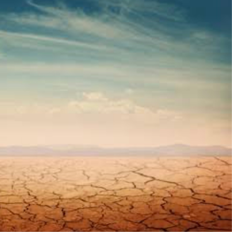 undefined, sector 10a  500 Sq.Yd. Plot In Sector 10a Gurgaon 8299263