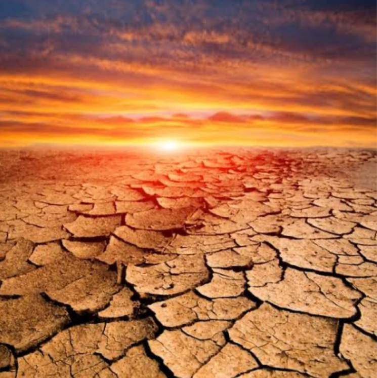 undefined, sector 10a  500 Sq.Yd. Plot In Sector 10a Gurgaon 8299263