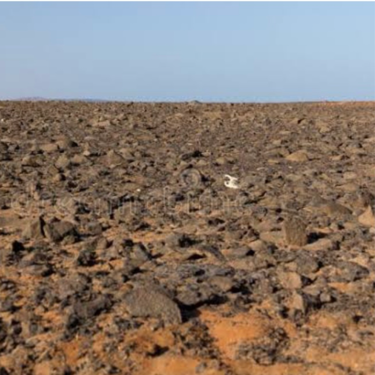 undefined, sector 10a  500 Sq.Yd. Plot In Sector 10a Gurgaon 8299263