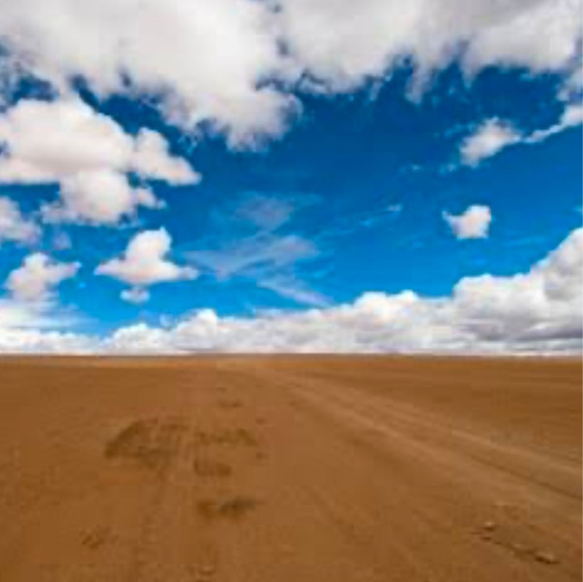 Plot For Sale in Residental Society Sector