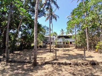 Plot Area in  Plot at Kottekkad – for Sale