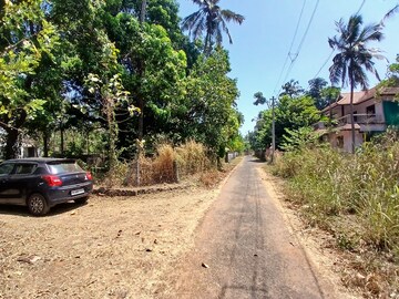 Plot Area in  Plot at Kottekkad – for Sale