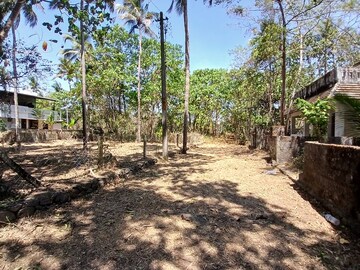 Plot Area in  Plot at Kottekkad – for Sale