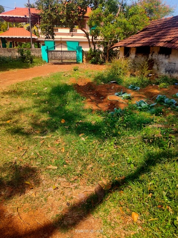 Plot For Resale in Palakkal Thrissur  8299441