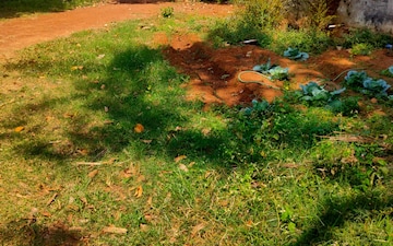 Plot For Sale in Palakkal