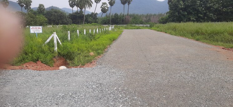undefined, sontyam  167 Sq.Yd. Plot In Sontyam Vizag 8300350