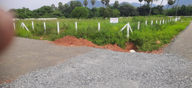 Garden, sontyam  167 Sq.Yd. Plot In Sontyam Vizag 8300350