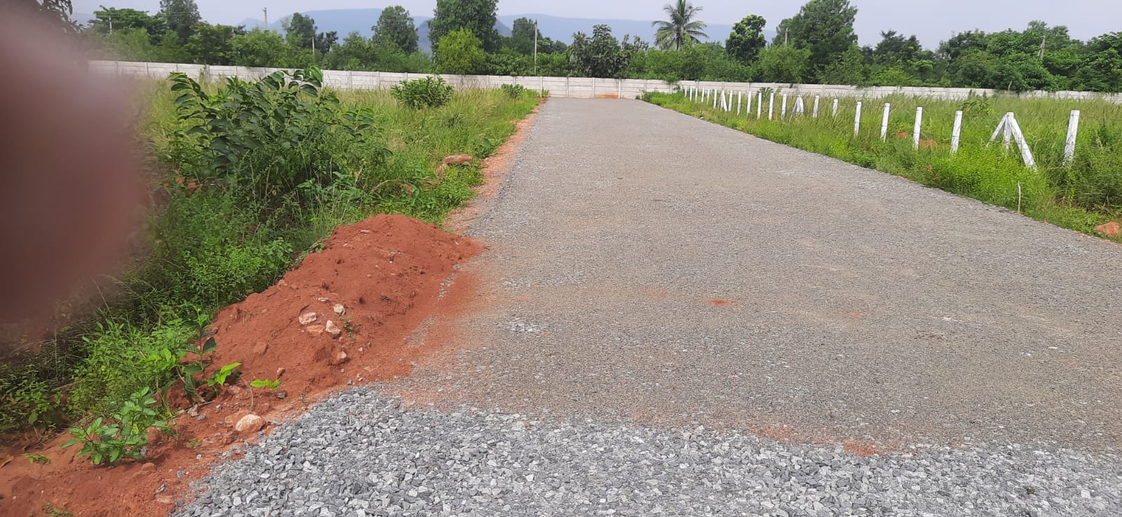 Plot For Sale in Hanika Town Ship 